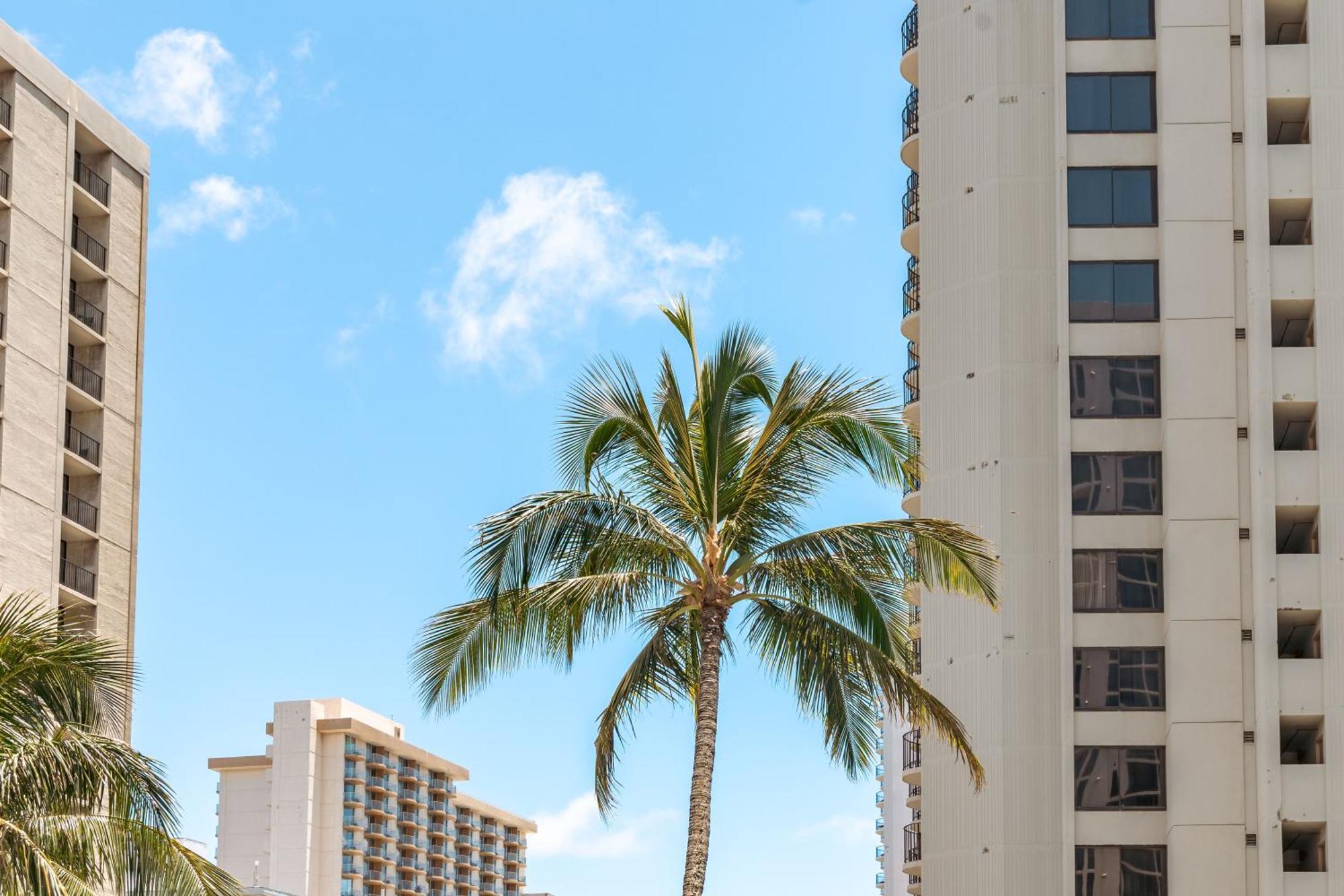 Cozy Waikiki Getaway, Stroll To Beach With Free Parking Хонолулу Екстериор снимка
